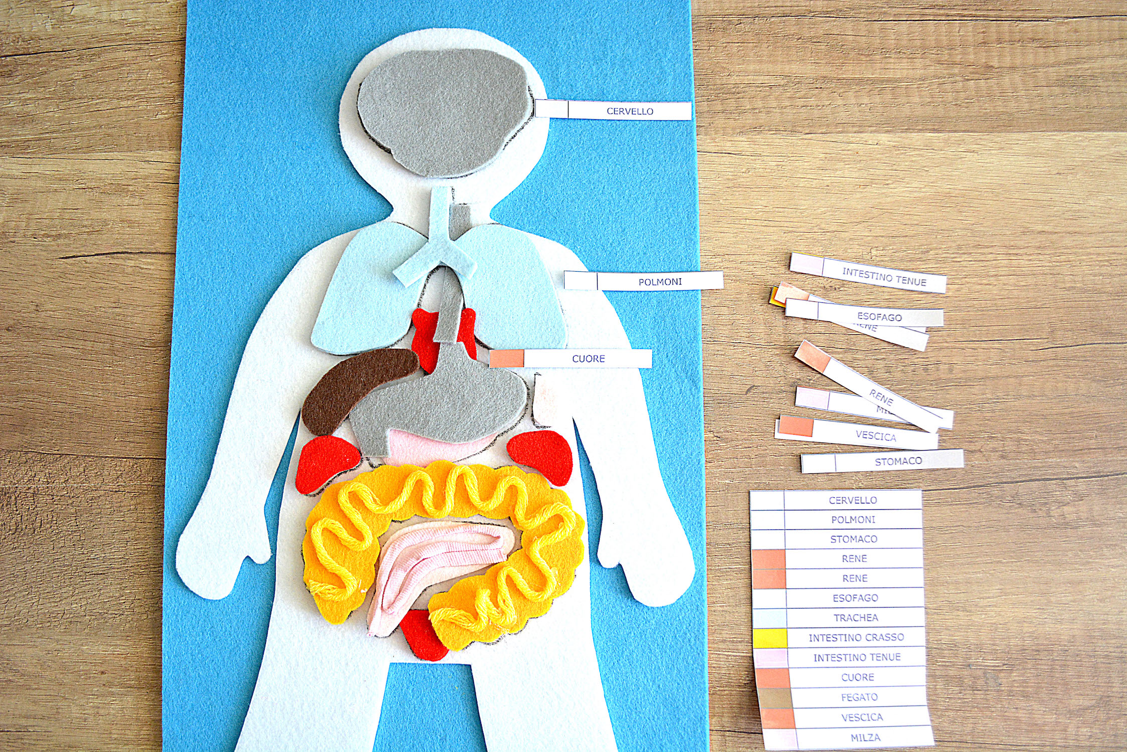 Organi Del Condominio